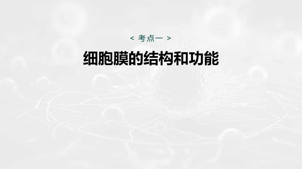 17534754第5页