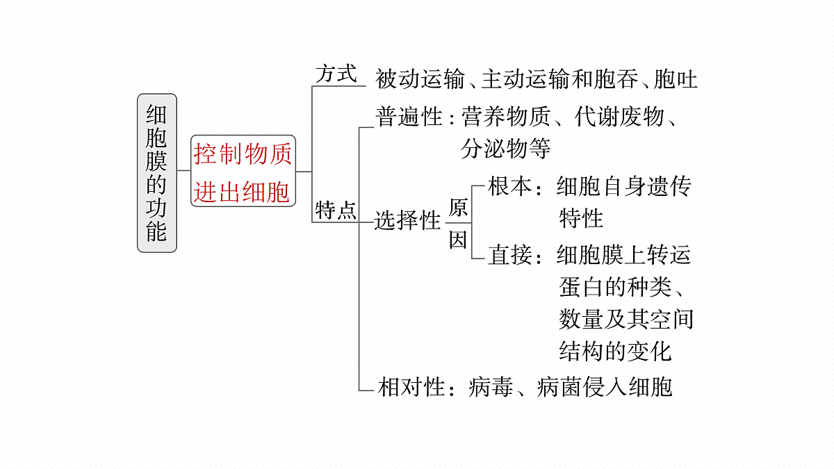 17534754第7页