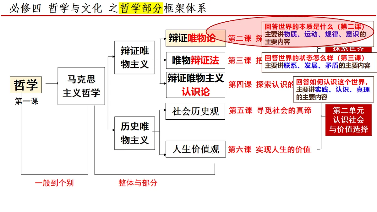 17534905第3页