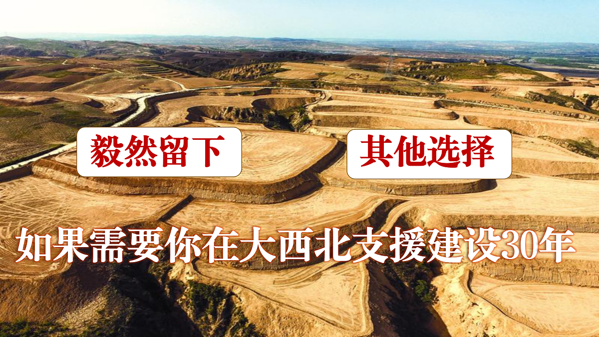 17534920第3页