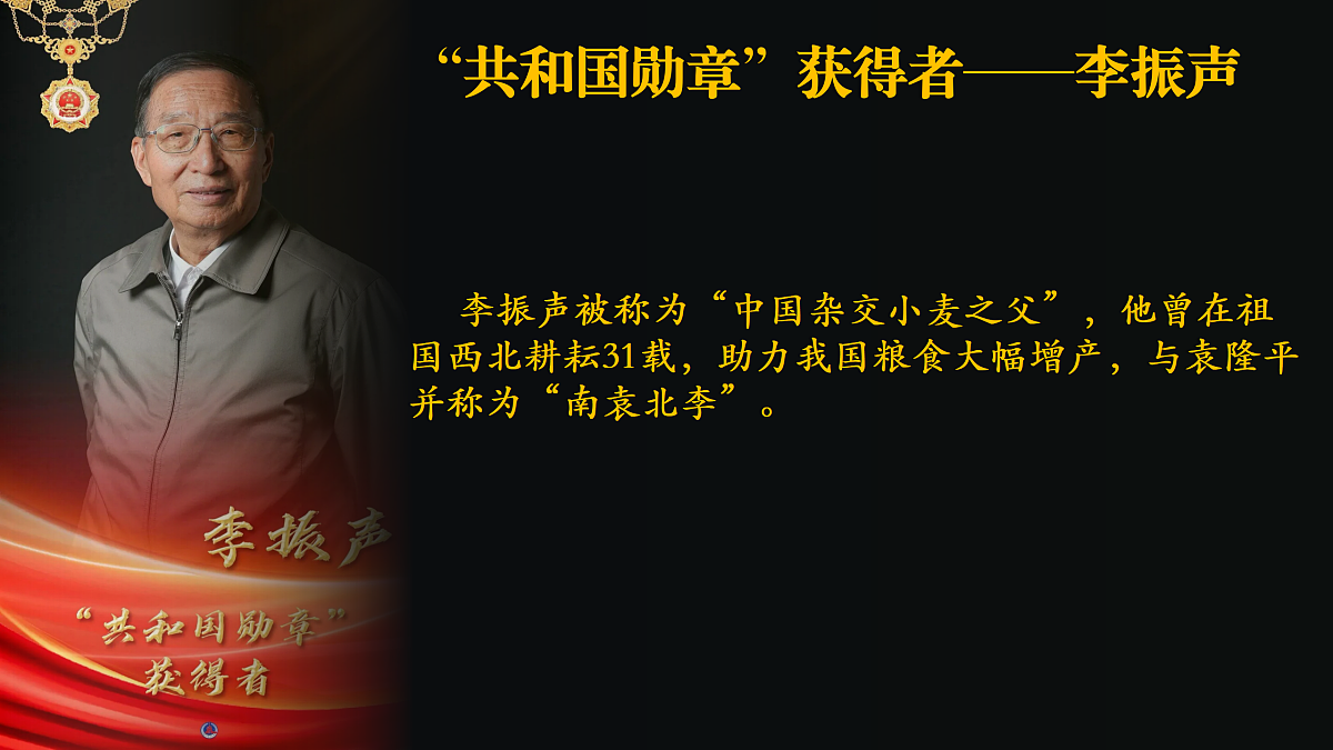 17534920第4页