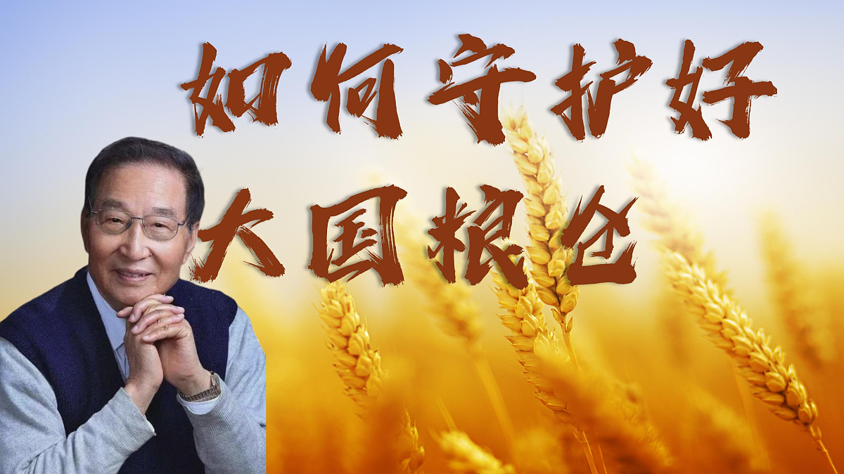 17534920第5页