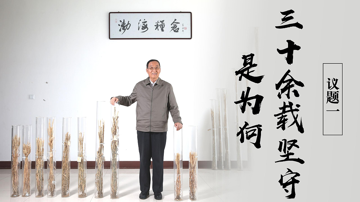 17534920第6页