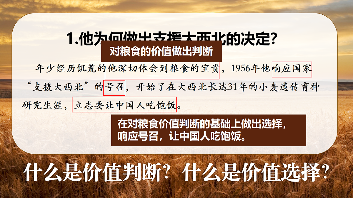 17534920第8页