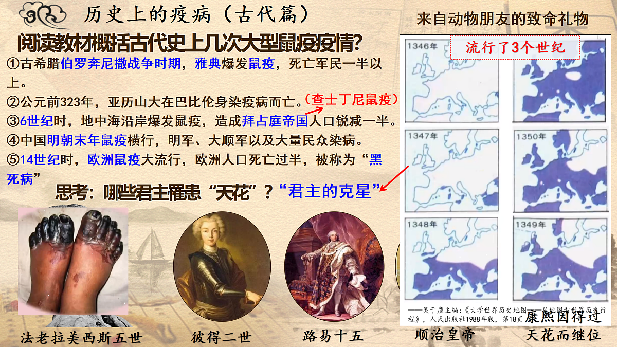 17535186第7页