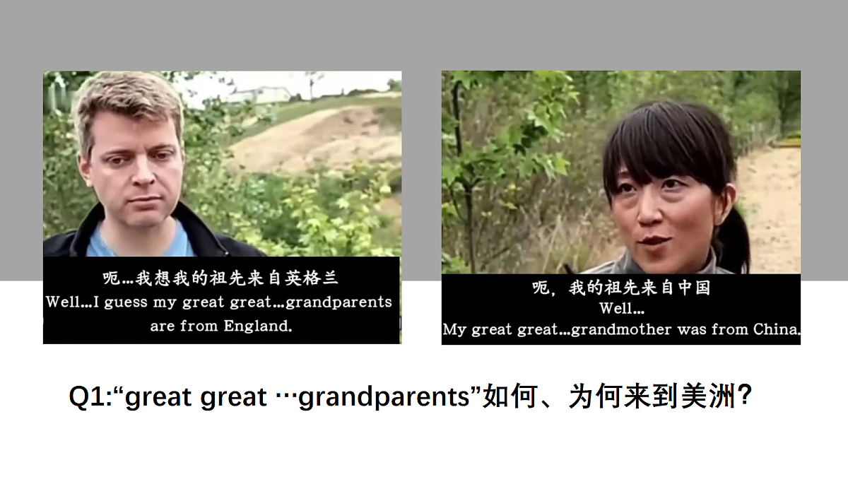 17535204第3页
