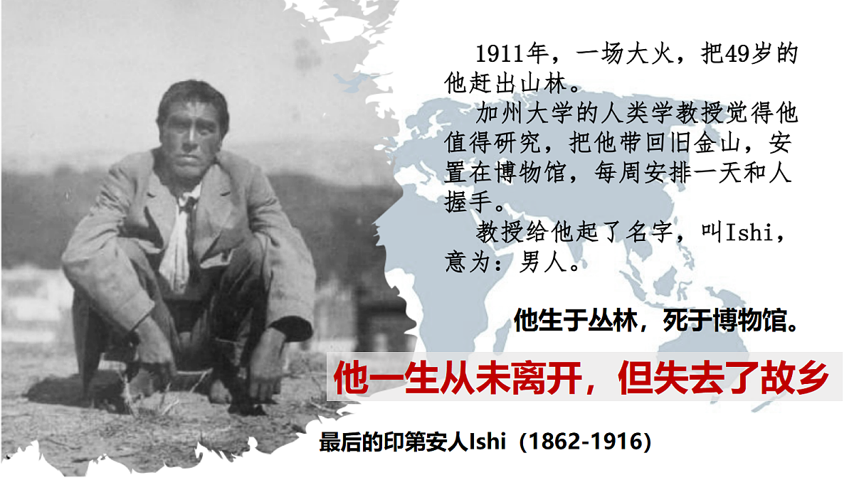 17535204第7页