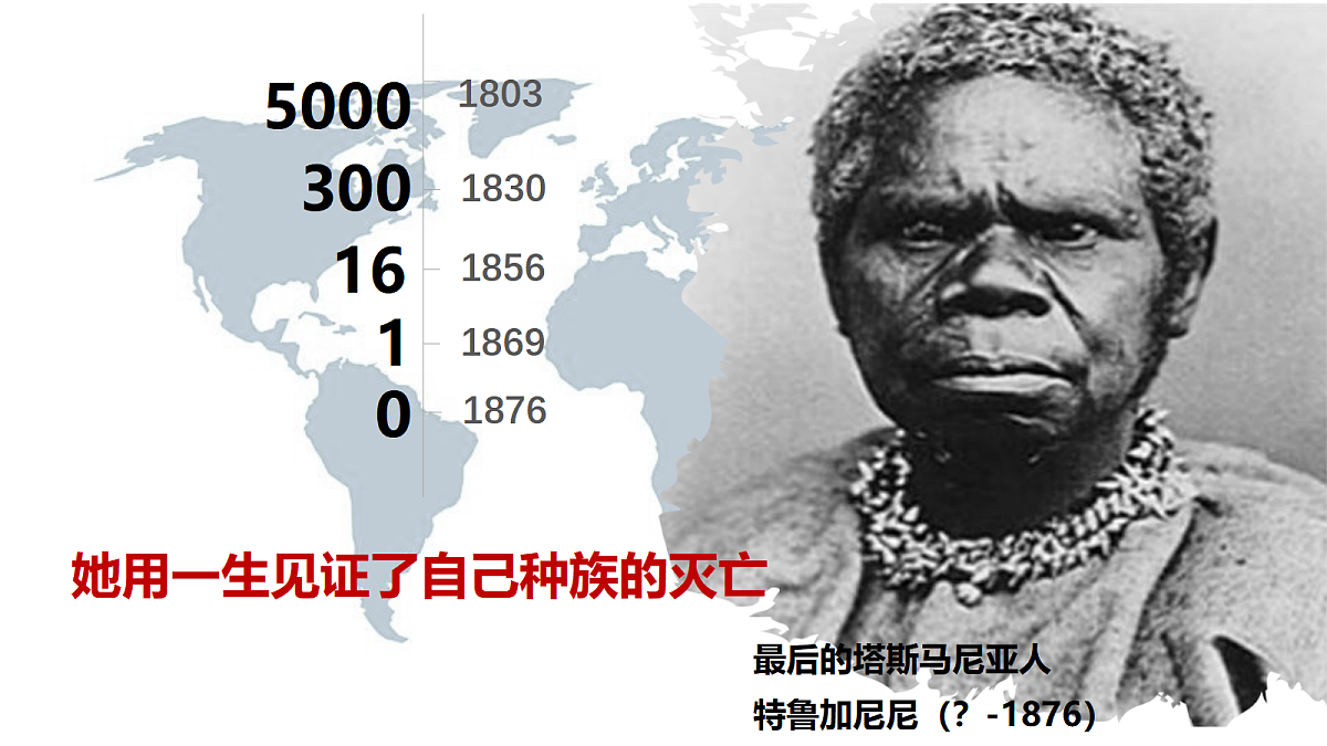 17535204第8页