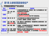 统编版高中历史选择性必修二 选择性必修2 经济与社会生活 课件
