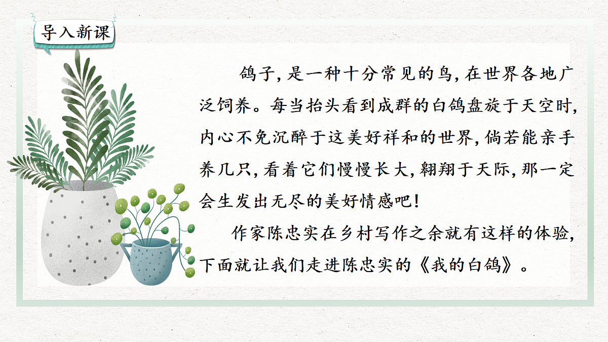 17535271第1页