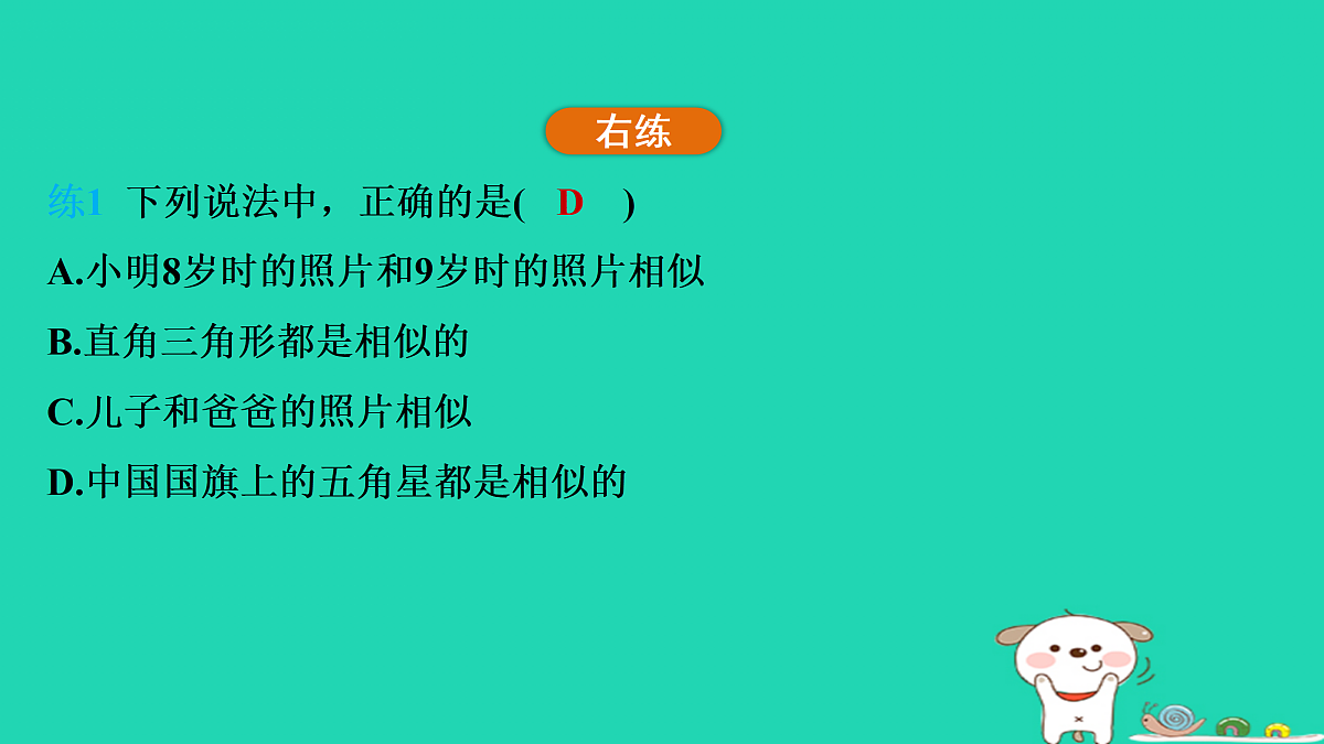 17535916第4页