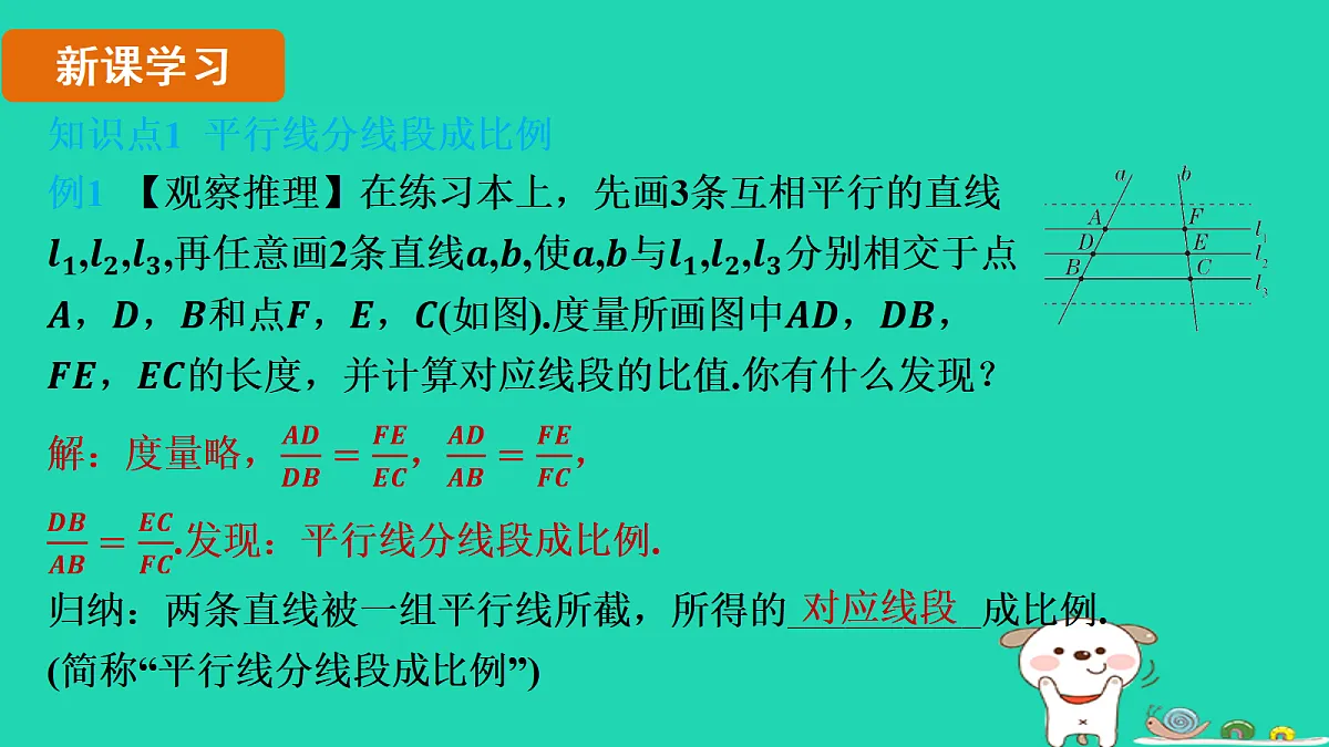 17535917第3页