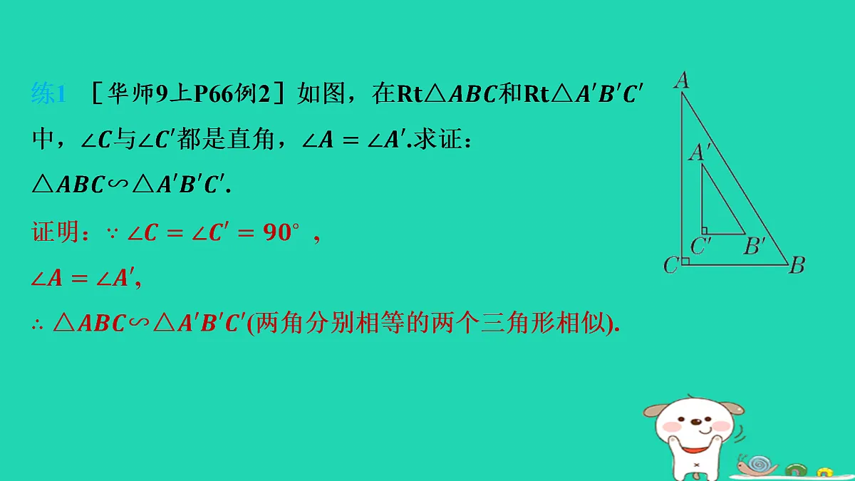 17535919第5页