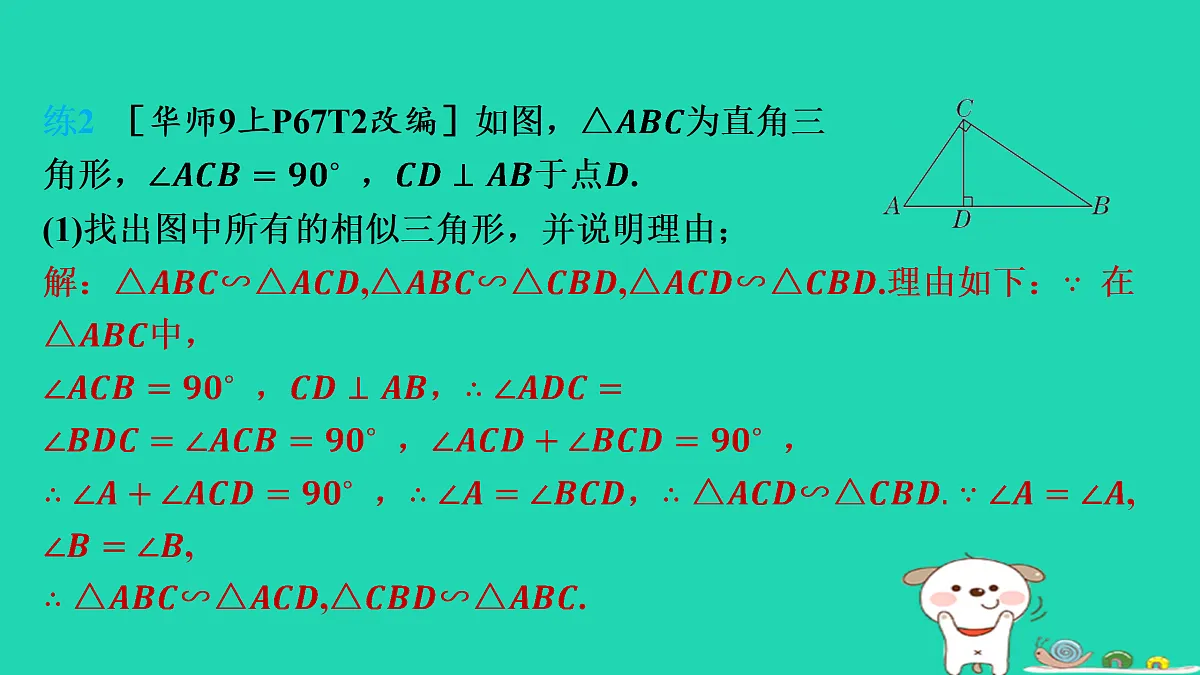 17535919第7页