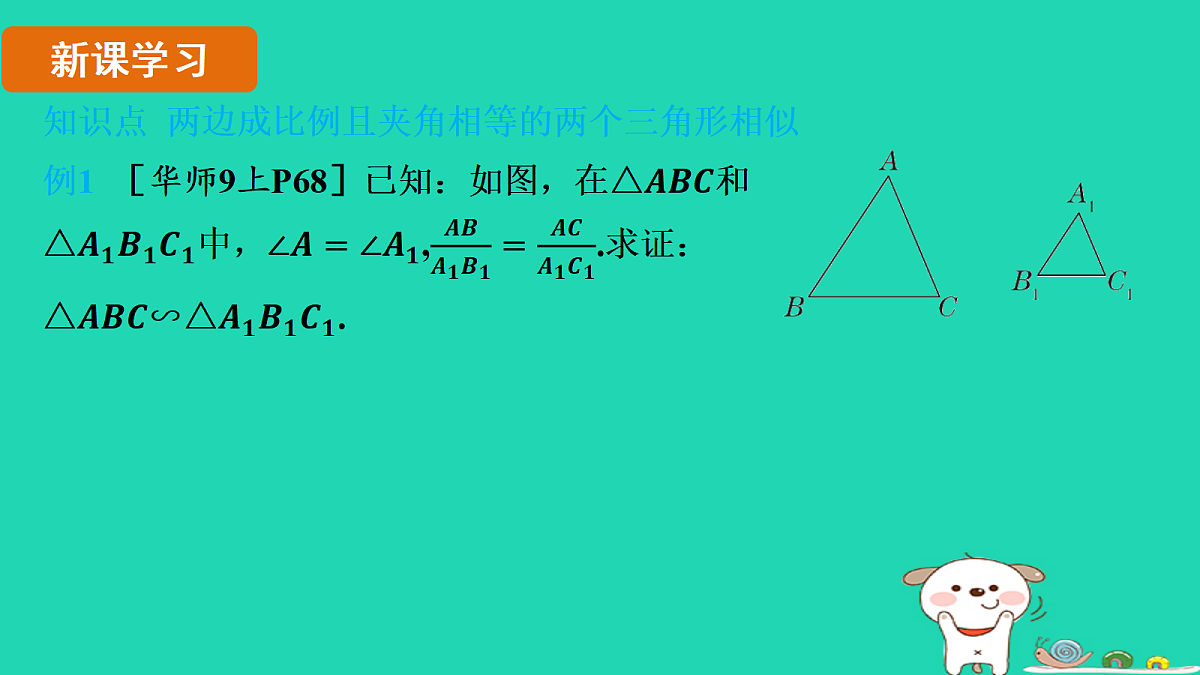 17535920第3页