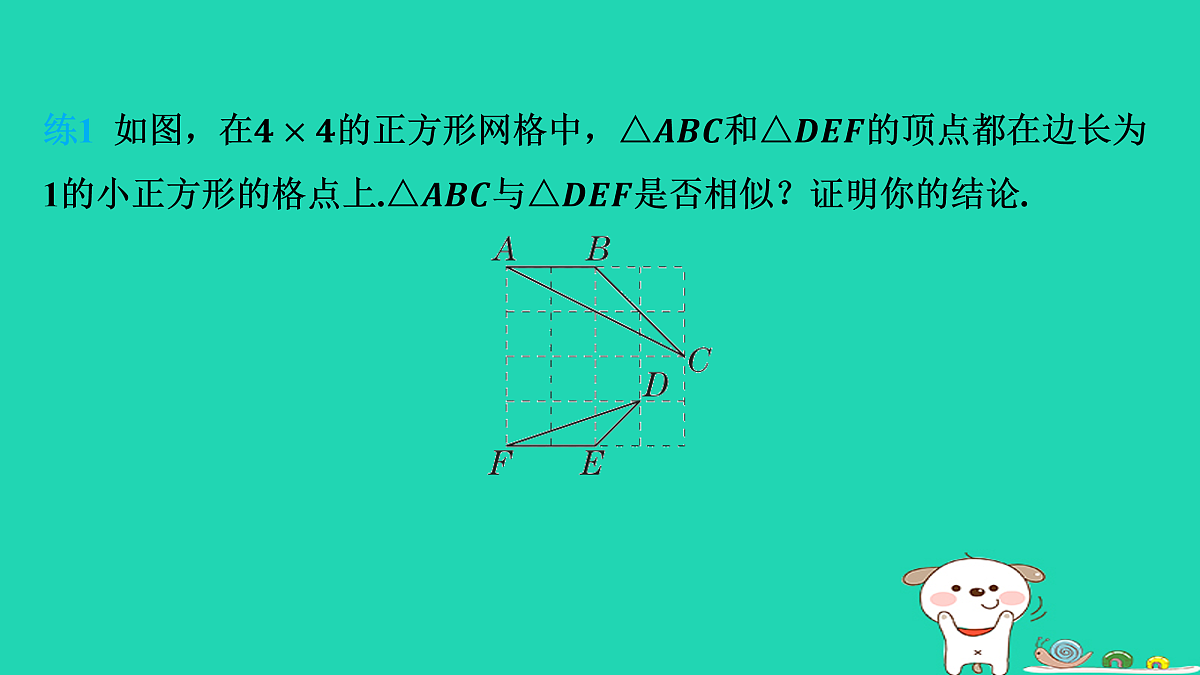 17535921第5页