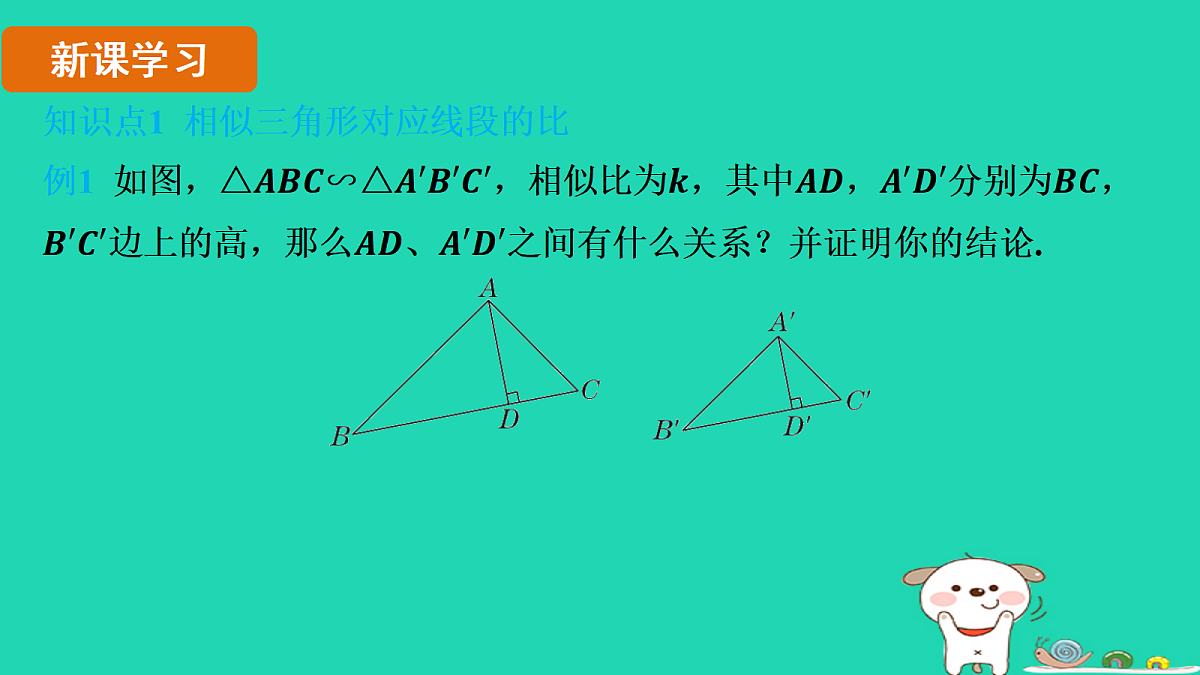 17535923第3页