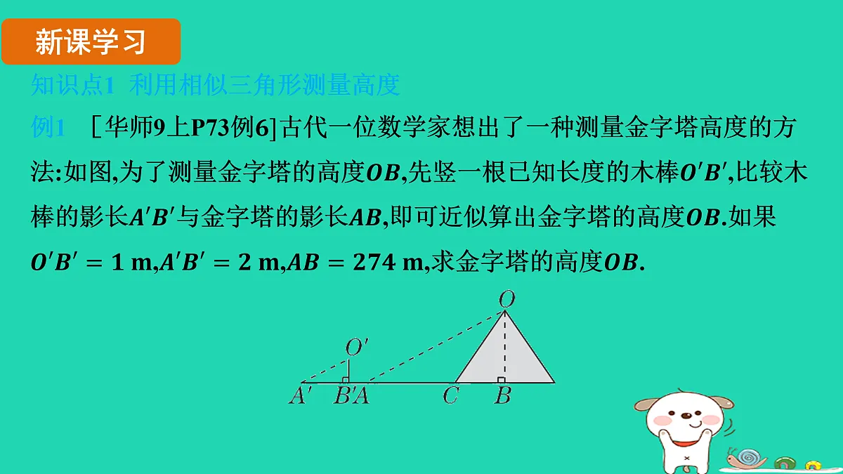 17535924第3页