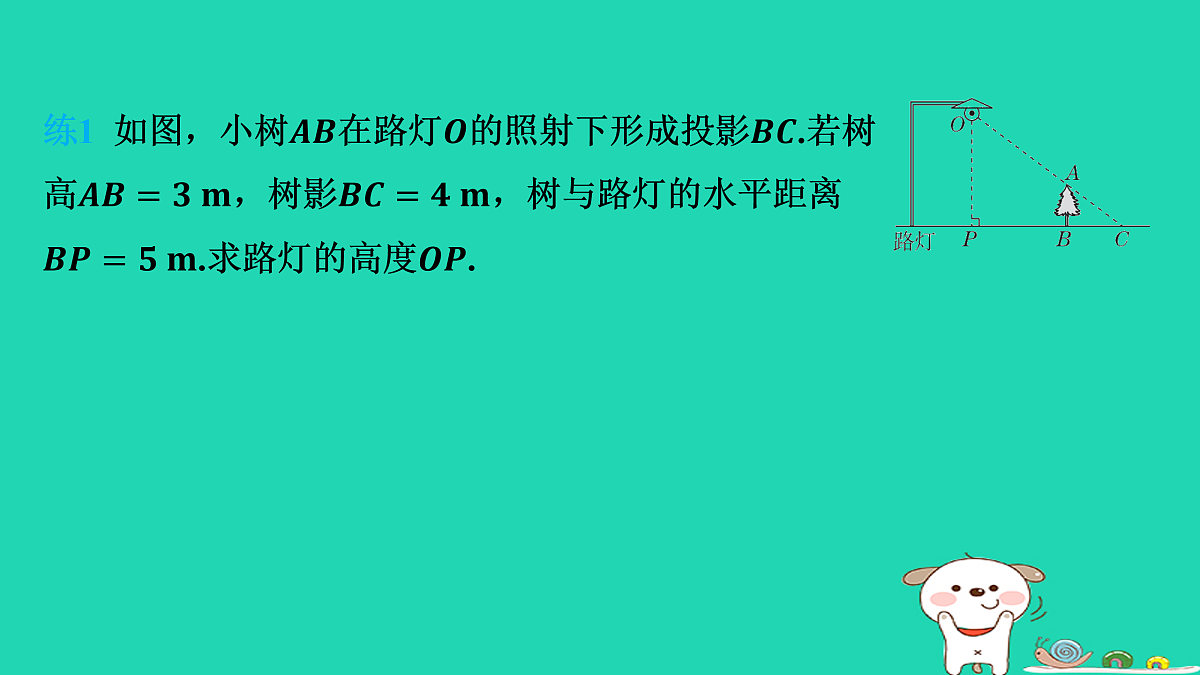 17535924第5页