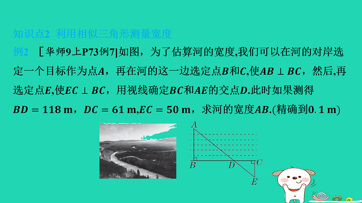 17535924第7页