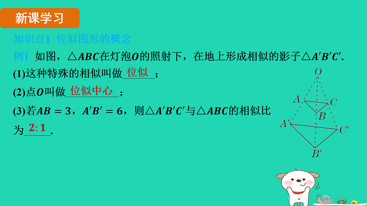 17535926第3页
