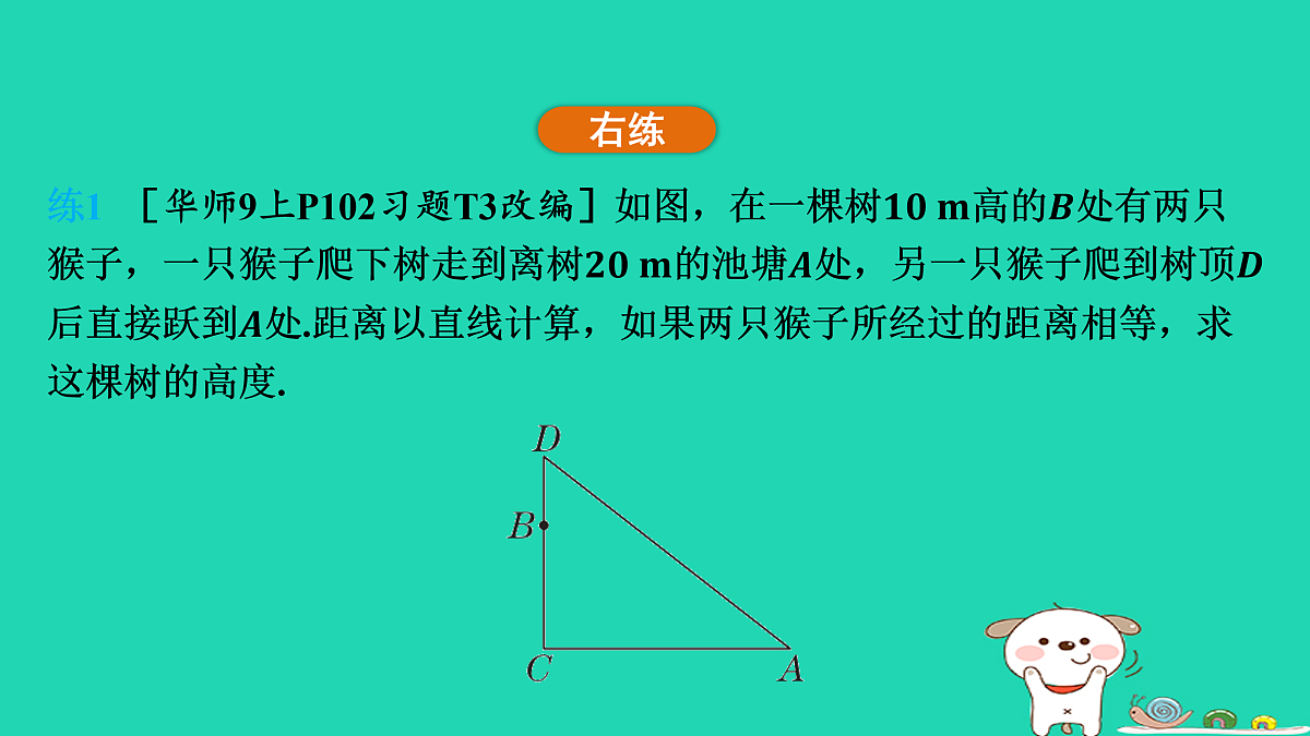17535929第5页