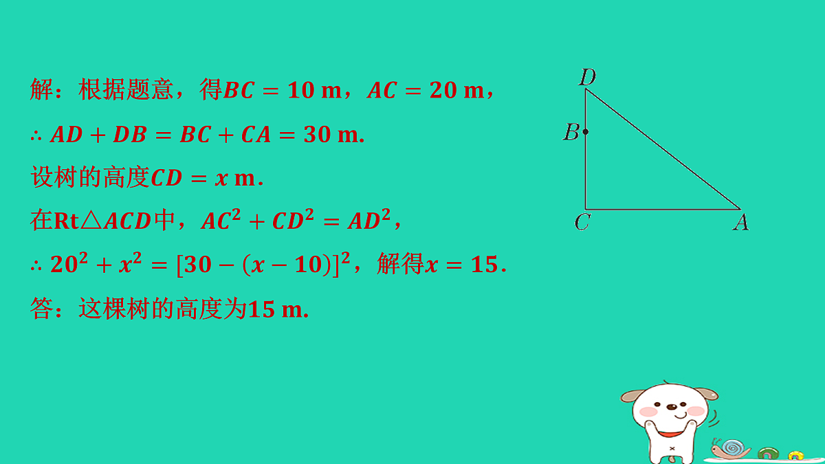 17535929第6页