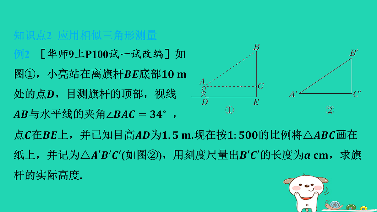 17535929第7页