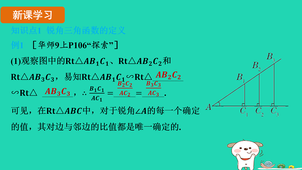 17535931第3页