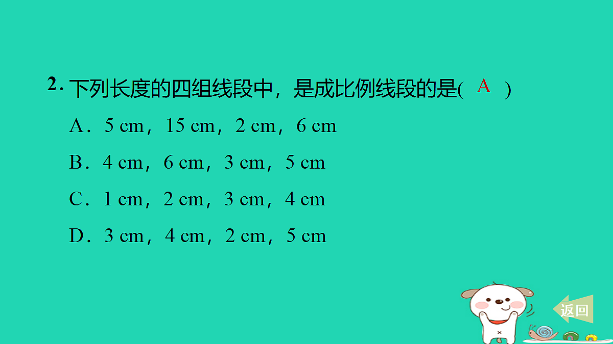 17535961第3页