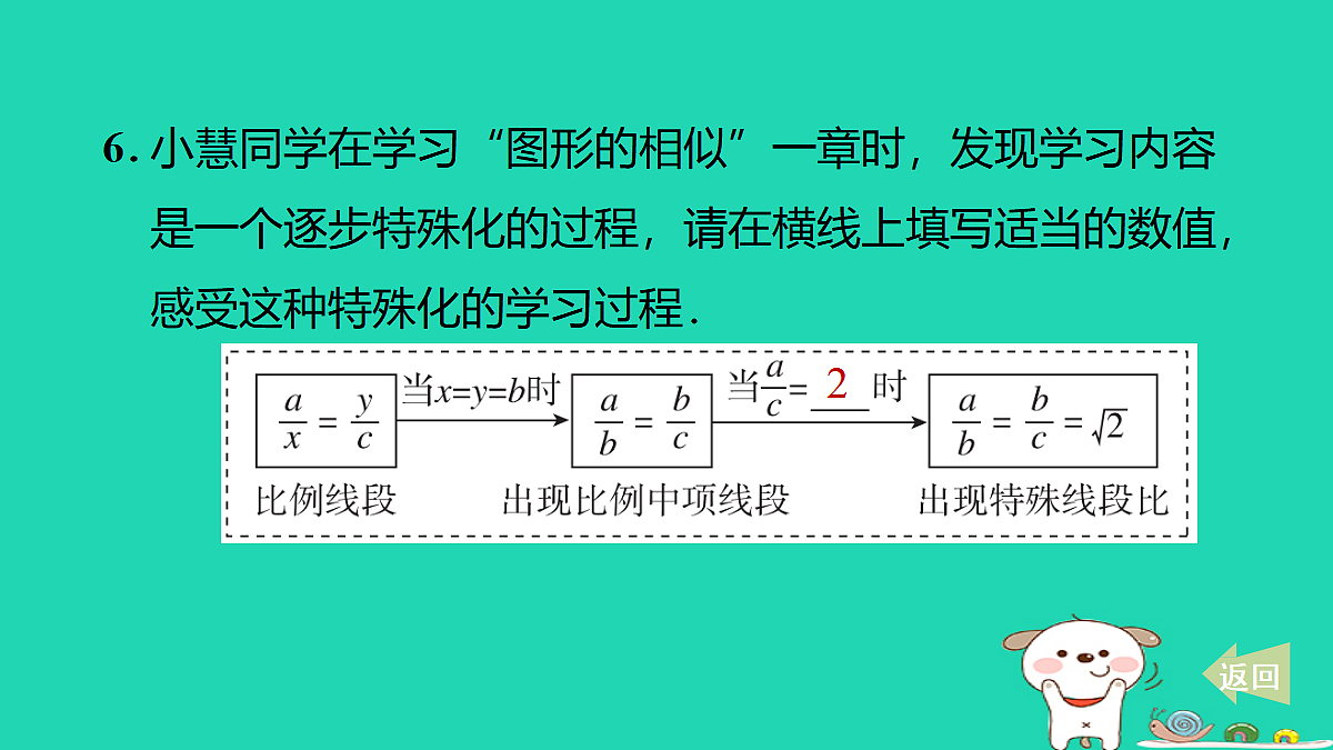 17535961第8页