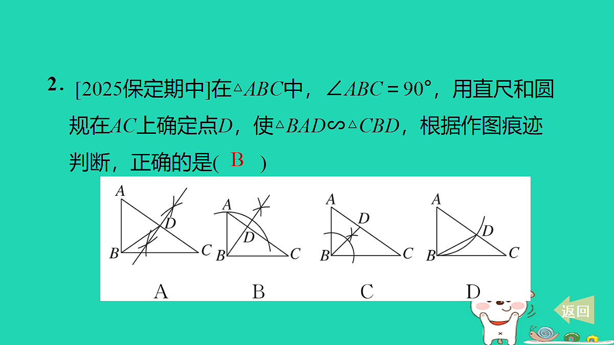 17535965第3页