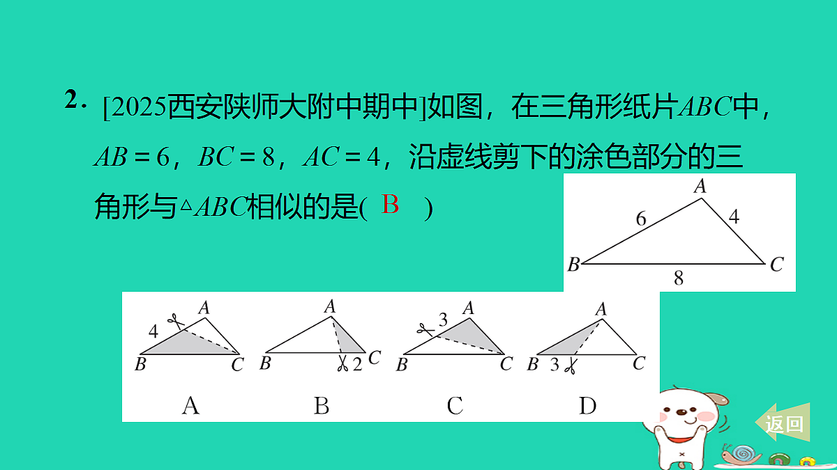 17535966第4页