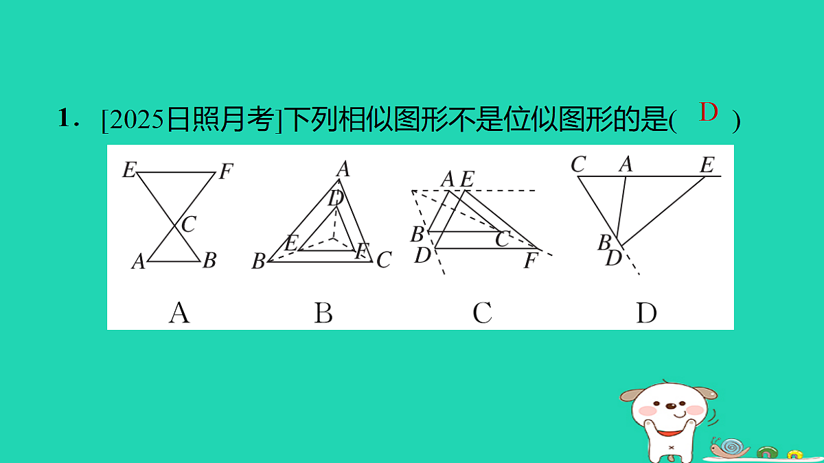 17535975第2页