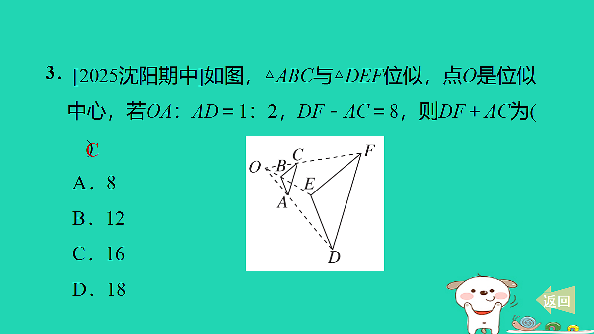 17535975第5页
