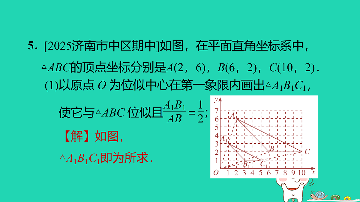 17535977第7页