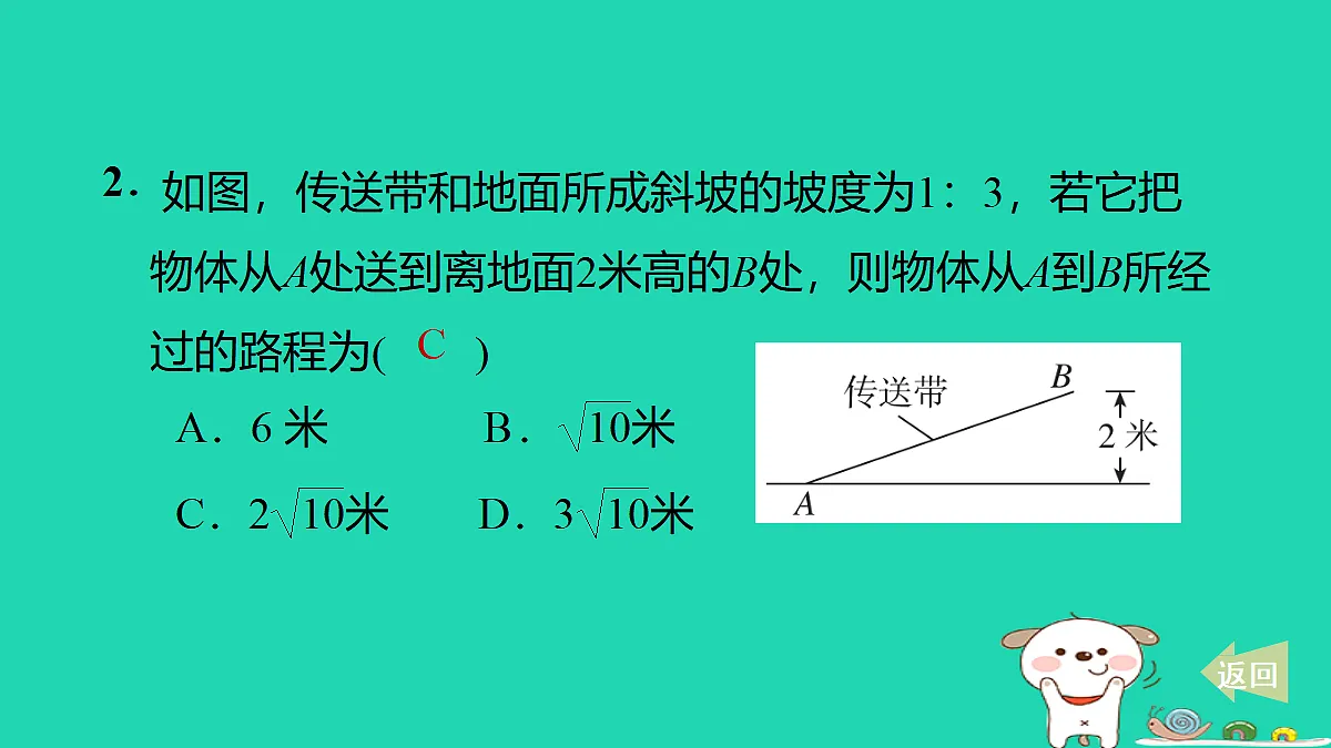 17535985第3页