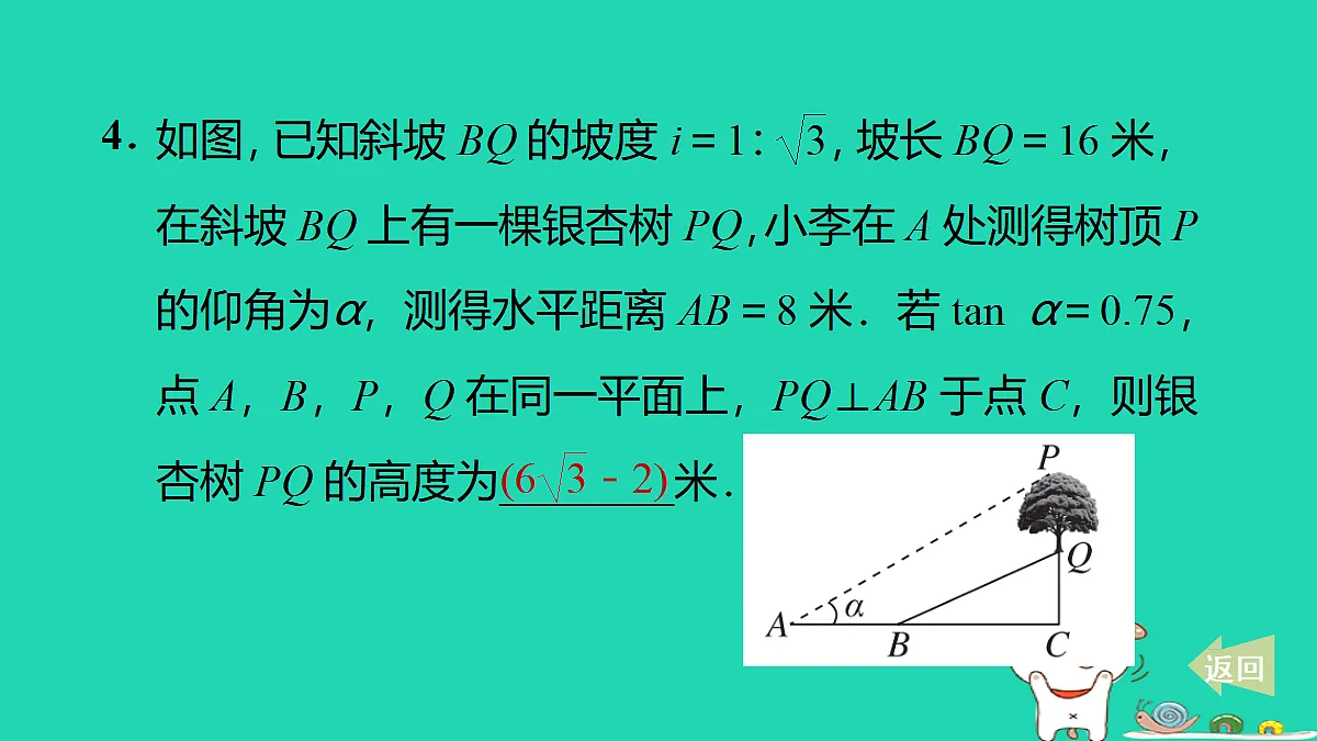 17535985第5页