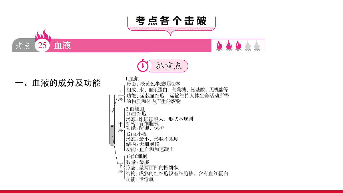 17536016第3页
