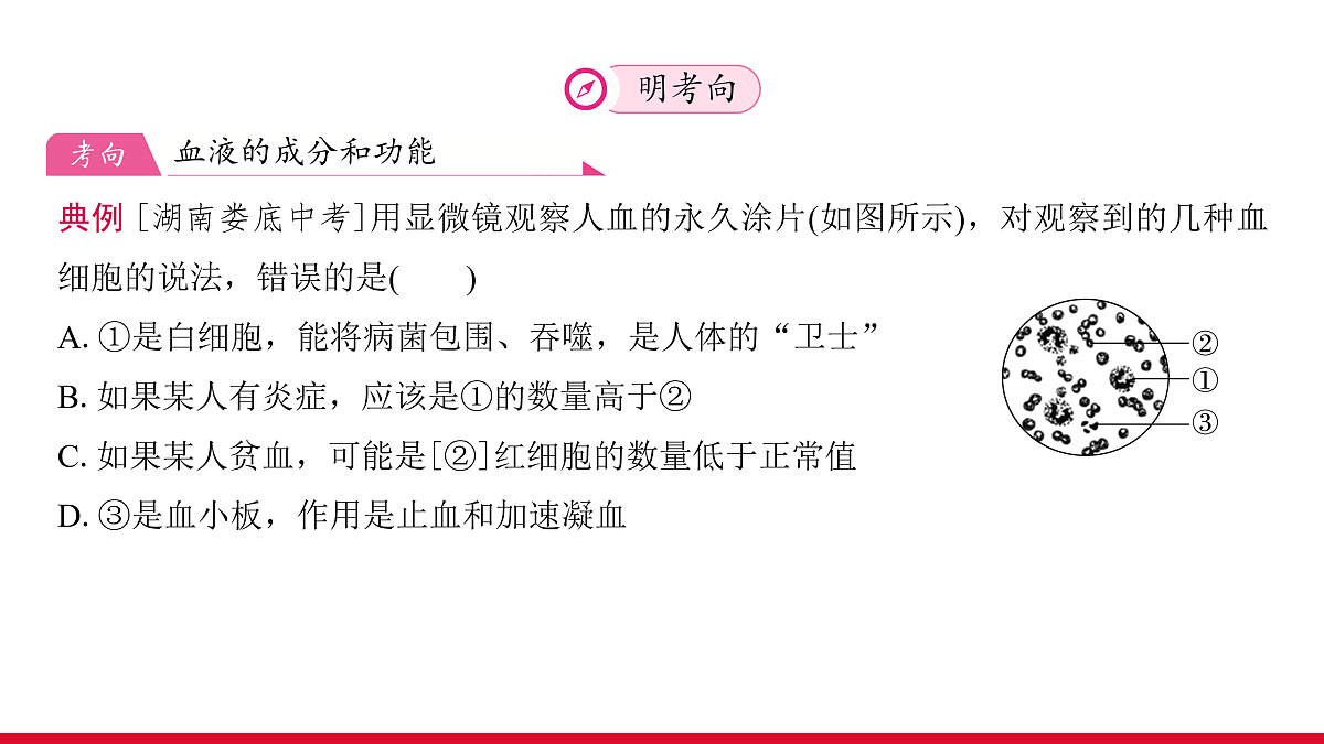 17536016第7页