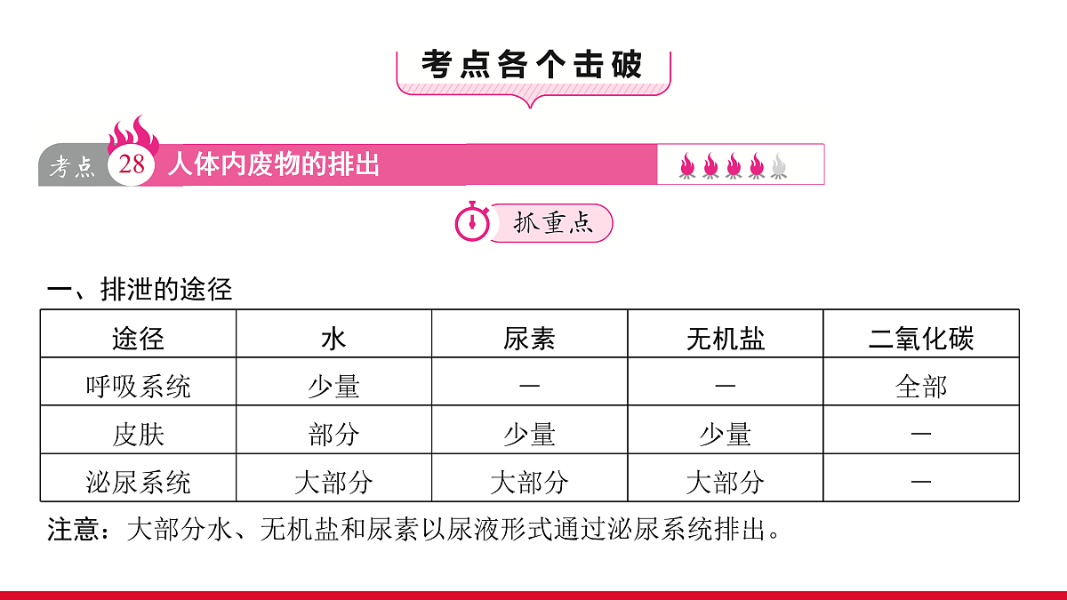 17536017第3页