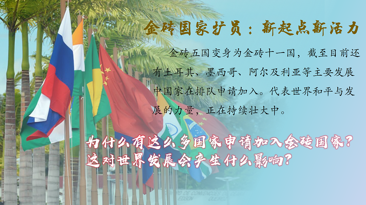 17536044第5页