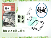七上语文第2单元动态复习（讲义+课件）