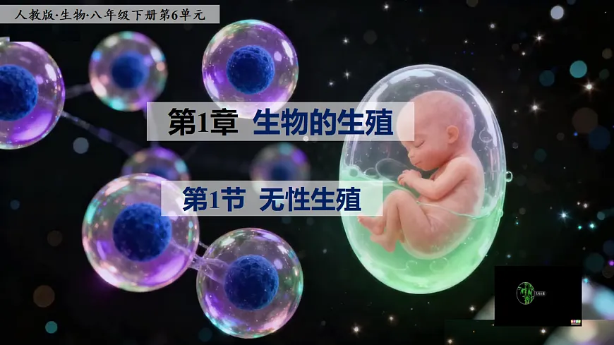 八下生物（人教版2024）6.1.1《无性生殖》PPT第1页