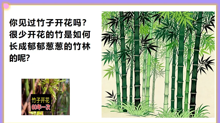 八下生物（人教版2024）6.1.1《无性生殖》PPT第4页