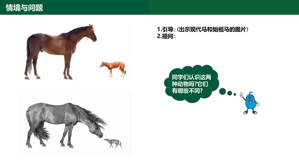 1.4《生物的演变》第4页
