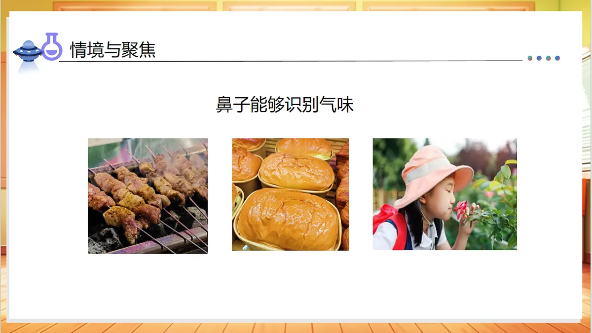 2.4 气味告诉我们（教学课件）科学教科版一年级上册（新教材）第6页