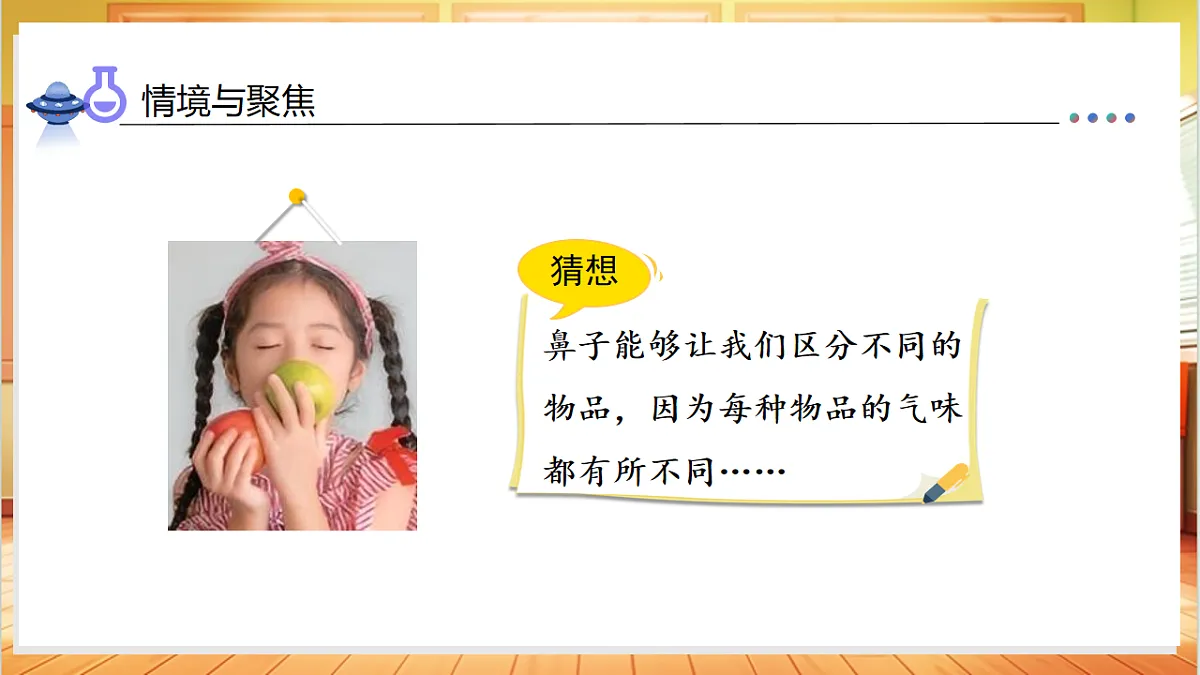 2.4 气味告诉我们（教学课件）科学教科版一年级上册（新教材）第8页