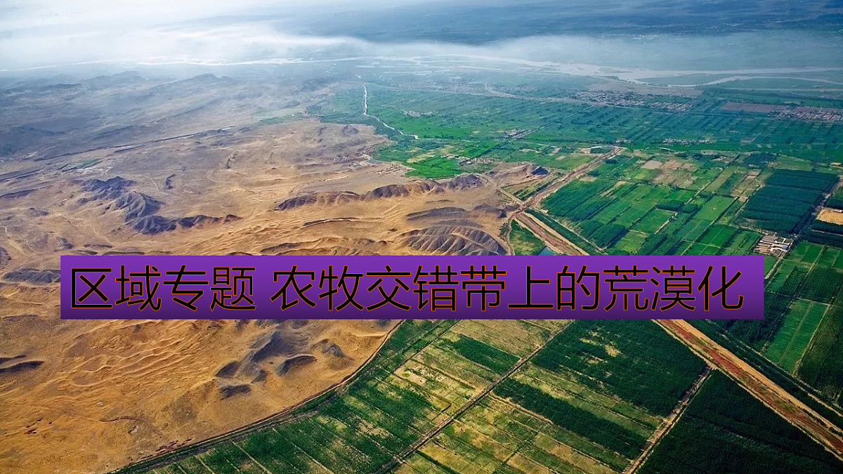 17539761第4页