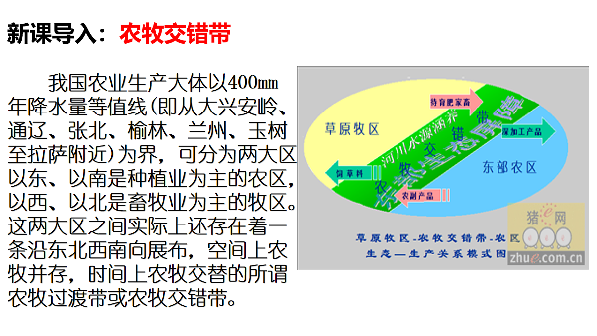 17539761第6页
